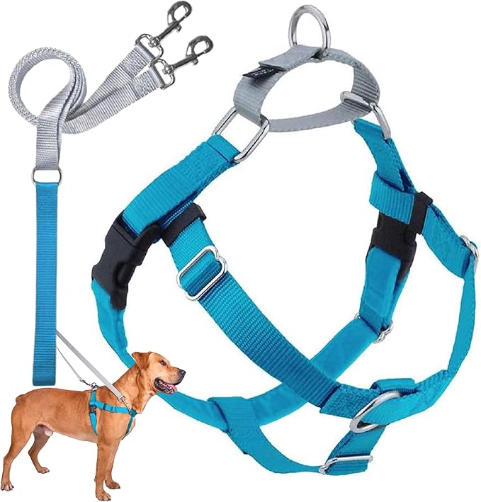 2 Hounds Design Freedom No Pull Dog Harness, Adjustable Harness and Leash Set, Easy Walking & Comfortable Control, Fits Small, Medium & Large Dogs, Solid Colors, Made in USA, 1" XL, Turquoise