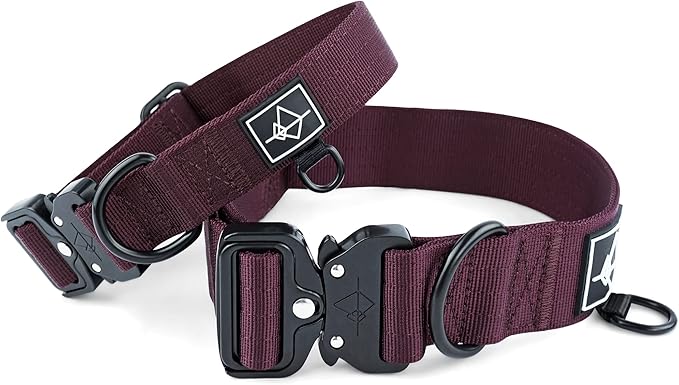 Made to ROAM Premium Dog Collar - Adjustable Heavy Duty Nylon Collar with Quick-Release Metal Buckle (Vermont Weekends, Classic Size 1)