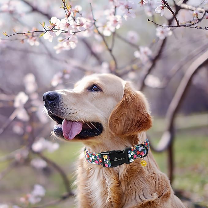 ARING PET Girl Dog Collar, Cute Spring Summer Floral Puppy Pet Collars for Small Medium Large Dogs-M