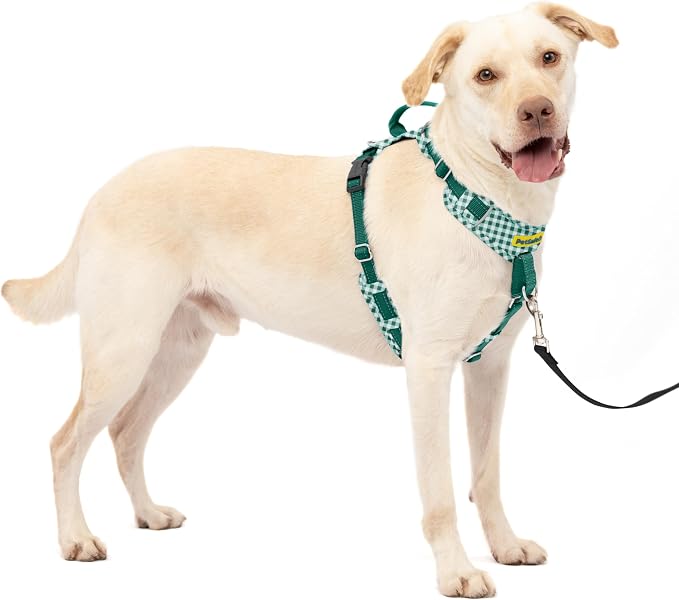 PetSafe Easy Walk Comfort No-Pull Dog Harness Padding - Better Walks on 1st Use - 5 Points of Adjustment Large, Green Gingham