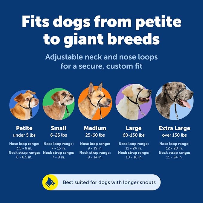 PetSafe Gentle Leader No-Pull Dog Headcollar - The Ultimate Solution to Pulling - Redirects Your Dog's Pulling for Easier Walks - Helps You Regain Control - Small, Silver