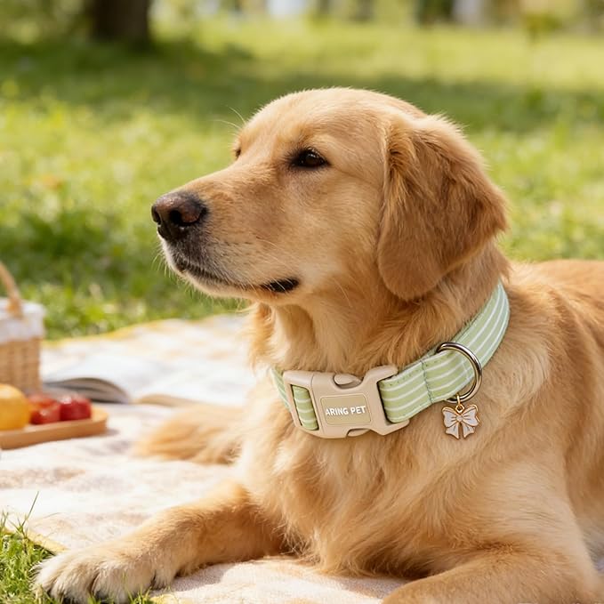 ARING PET Stripe Dog Collar, Cute Spring Summer Green Stripe Pet Collars with Bow Charm for Puppy Small Medium Large Boy Girl Dogs-L, for Daily Outdoor Walking Training