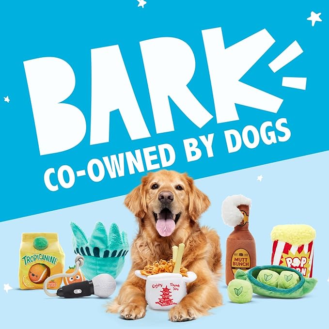 Barkbox Consuela the Cactus 2-in-1 Interactive Plush Dog Toy - Squeaky Dog Chew Toy with Crinkle Layers - for Large Dogs and Puppies
