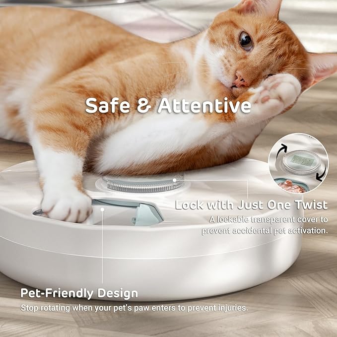 Brioche Automatic Wet Food Feeder for Pets - True 6-Meal Cordless Fresh Can Dispenser with Two Ice Packs, Perfect for Newborn Senior Sick Cats and Small Dogs
