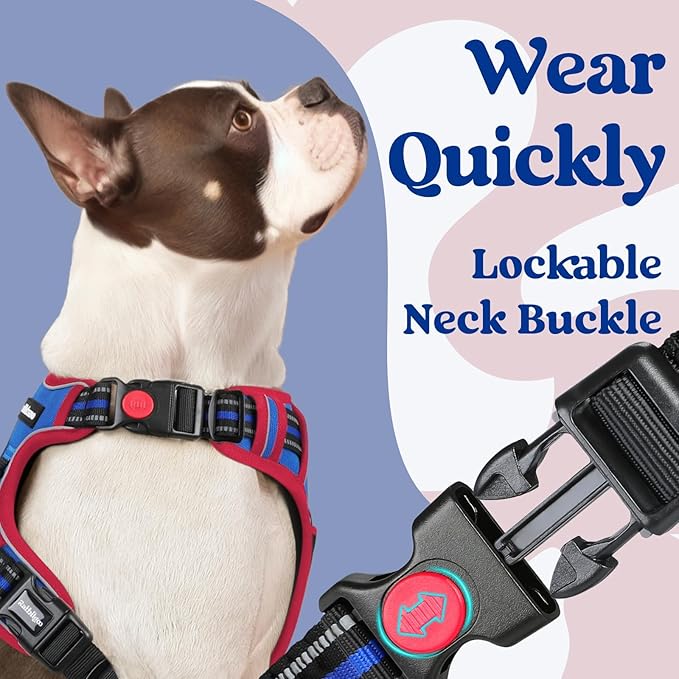 rabbitgoo Dog Harness Small Sized, No Pull Easy On & Off with 3 Buckles Pet Harness, Adjustable Soft Walking Vest with 2 Clips and Handle, Reflective for Small Dogs, Royal Blue & Red, S