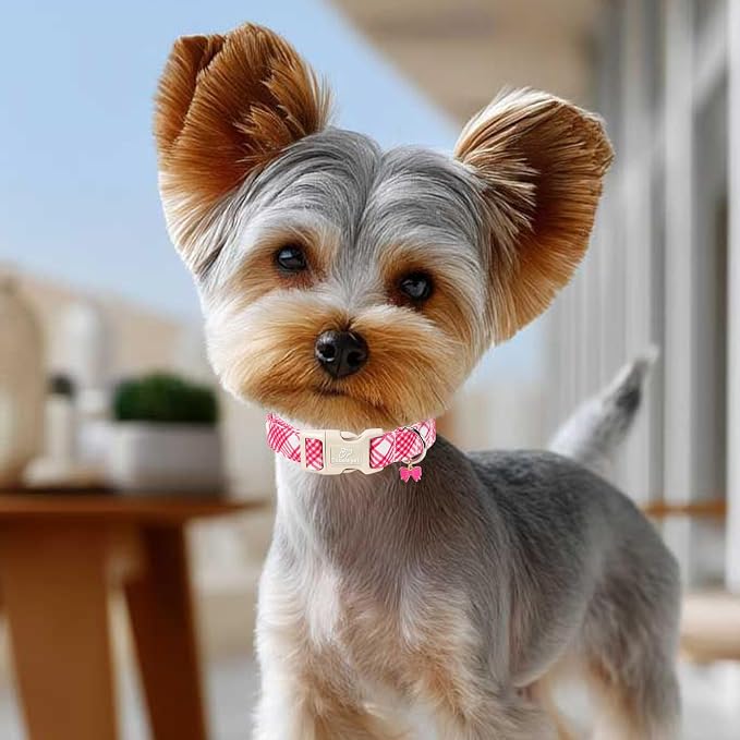 Girl Dog Collar, Bright Pink Glen Check Dog Collars for Small Dogs - Cute Spring Summer Plaid Pup Collar, Soft Adjustable Female Dog Collars with Quick Release Buckle S