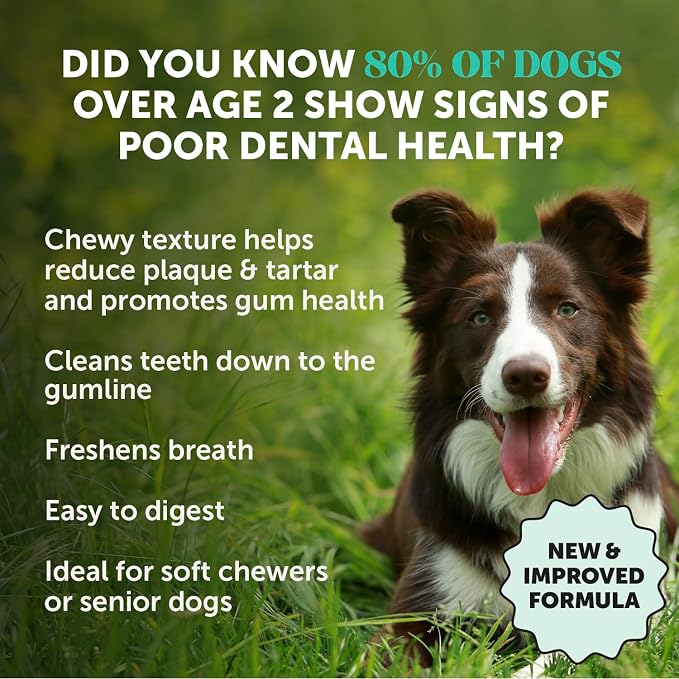 Dog Dental Treats Fresh Breath Sticks - Plaque and Tartar Remover for Dogs Teeth Cleaning Chews for Bright Teeth - Dog Dental Sticks for Oral Care, Gum Health + Bad Breath Treatment (Mint, 16 Ct)