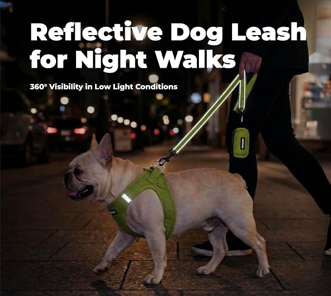 Best Pet Supplies Voyager Reflective Dog Leash or Collar with Neoprene Handle, for Small, Medium, and Large Breed Puppies, Cute and Heavy Duty for Walking, Running and Training - Lime Green (Leash), S