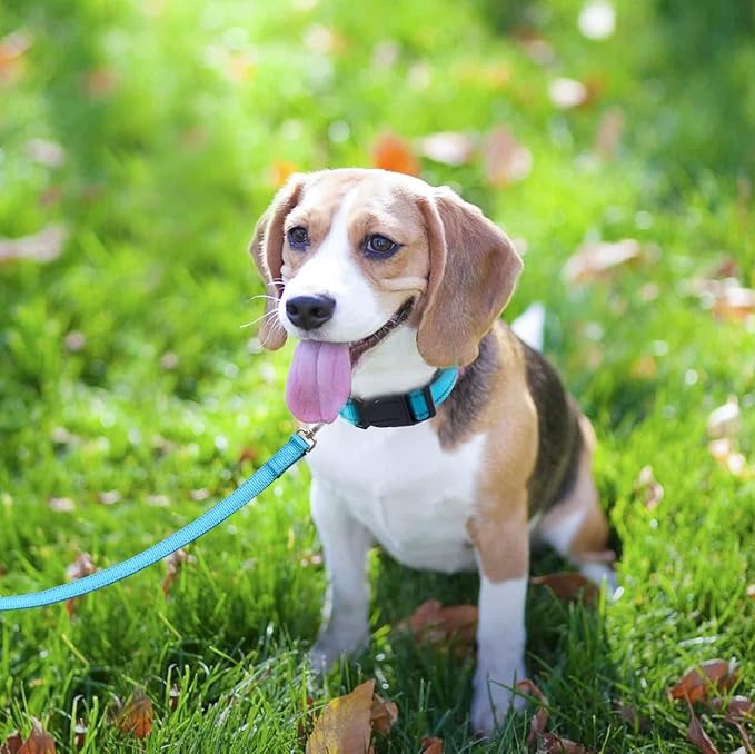 FunTags 6FT Sky Blue Reflective Dog Leash for Large & Medium Dogs Walking, Soft Padded Handle Comfortable Grip, Heavy Duty Nylon, Reflective for Night Walking, 1in Wide