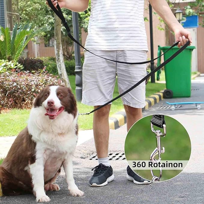 AMAGOOD 6 FT Puppy/ Dog Leash, Strong and Durable Traditional Style Leash with Easy to Use Collar Hook, Great for Small, Medium and Large Dogs (1" x 6 ft, Black and Orange (2-Pack))