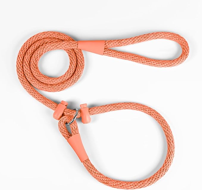 Lynxking Dog Leash Slip Lead Reflective Breathable Rope Comfortable Strong No Pull Slip On Pet Training Lead for Dogs (Orange, Small 3/8 inch x 6ft)