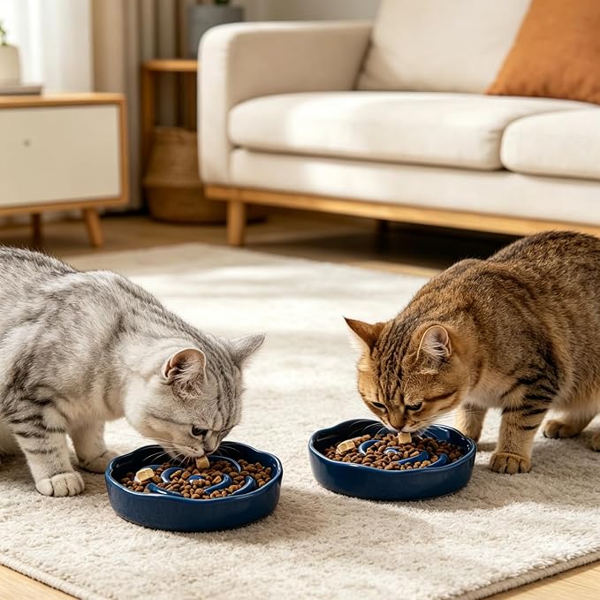 Slow Feeder Cat Bowl Set of 2, Ceramic Slow Feeding Cats Bowl Whisker Friendly, Anti Vomiting Cat Feeder for Dry and Wet Food，Fun Maze Interactive Bloat Stop Puzzle Bowls for Healthy Eating Diet