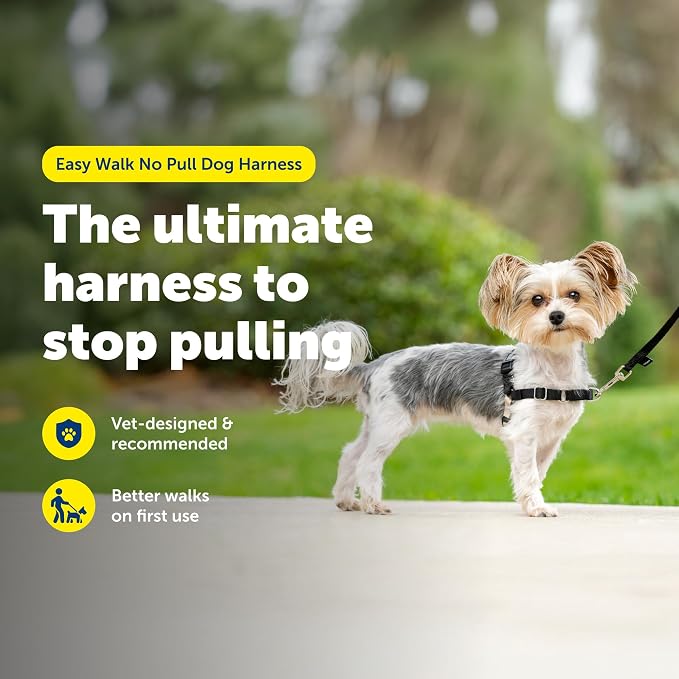 PetSafe Easy Walk No-Pull Dog Harness - Ultimate Harness to Help Stop Pulling - Pull-Free Walks - Take Control & Teach Better Leash Manners - Patented Martingale Loop Design - Black, Petite