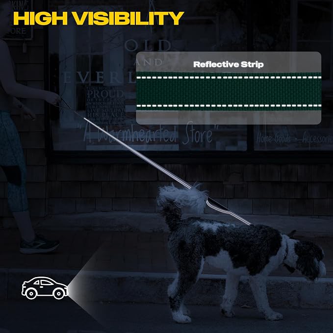 Fida 10ft Heavy Duty Dog Leash with 2 Comfortable Padded Handles, Traffic Handle & Advanced Easy Snap Hook, Reflective Walking Lead for Large, Medium & Small Breed Dogs, Teal