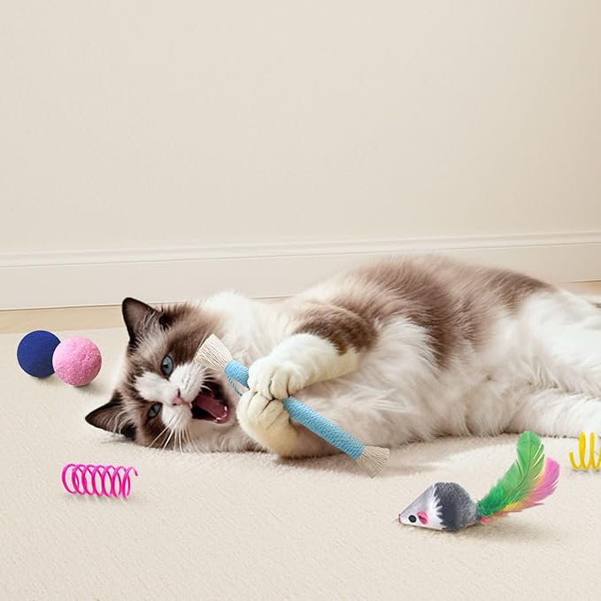 Cat Toys for Indoor Cats, 34 Packs Interactive Cat Toy Set with Colorful Springs Toys, Mouse Toy, Catnip Ropes, Balls, Bells, and Sisal Ball for Kitten Toys
