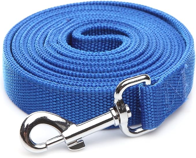 Strong Nylon Dog Leash with 2-Layer, 4 FT/ 6 Feet Long, 1 Inch Wide for Medium Large Dogs (1'' x 5 FT, Blue)