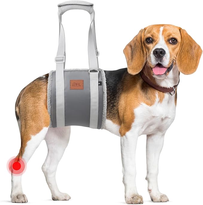 Adjustable Dog Lift Harness Dog Sling for Large Dogs Hind Leg Support Soft Lift Support for Weak Rear Legs, Helps Senior, Injured, Disabled, After ACL Surgery Dogs (Grey&Grey, Medium)