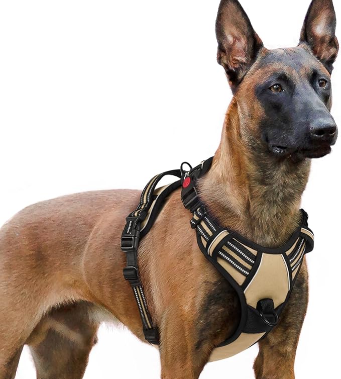 rabbitgoo Dog Harness for Large, No Pull Easy On & Off with 3 Buckles Pet Harness, Adjustable Soft Walking Vest with 2 Clips and Handle, Reflective for Extra Large Dogs, Beige, XL