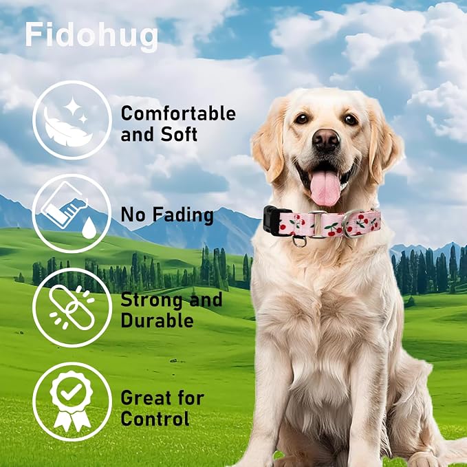 Martingale Collar for Small Dogs with Buckle No Pull Cute Girl Pink Dog Collars (Cherry, Small)