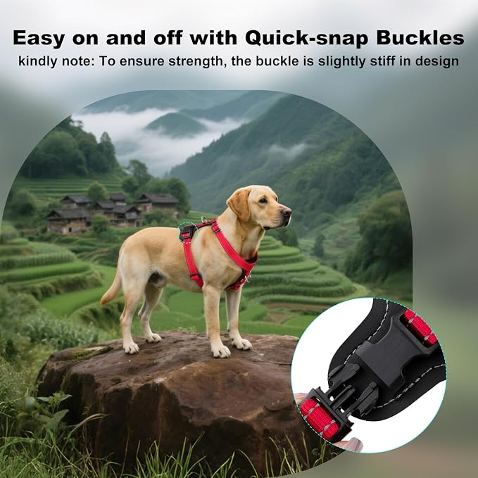 Plutus Pet Adjustable No Pull Dog Harness with Leather Accents, Heavy Duty Reflective Nylon Vest for Training, Hiking, Easy Walk Harness for Small, Medium, Large Dogs (Red, L)