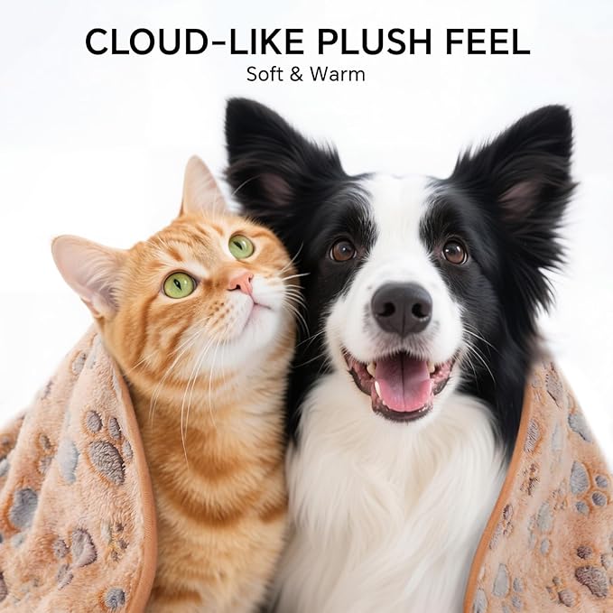 1 Pack 6 Blankets Dog Cat Soft Fluffy Fleece Pet Blanket Warm Cute Print Design Puppy Kitten Blanket Doggy PAW-2 Medium (30" x20")