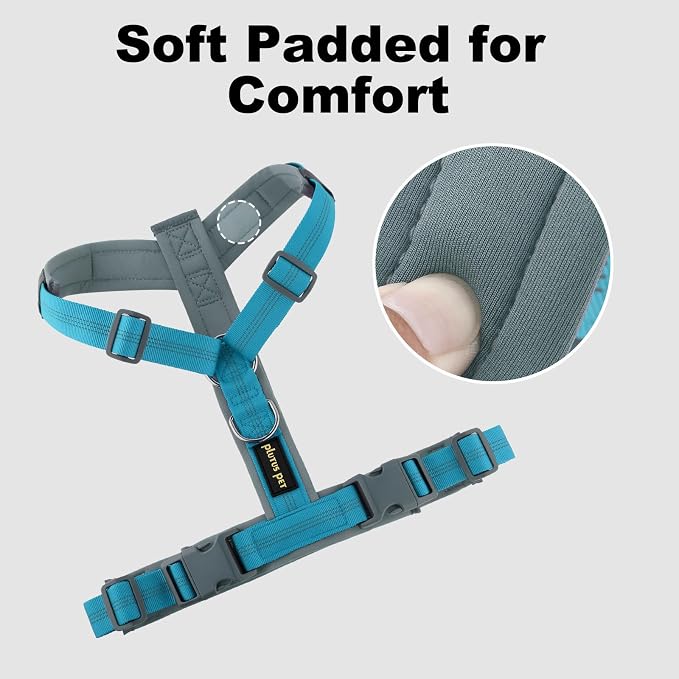 Plutus Pet No Pull Dog Harness, Adjustable Nylon Harness with Soft Padding, Reflective and Heavy Duty Dog Harness for Small, Medium, Large Dogs(Cyan, S)