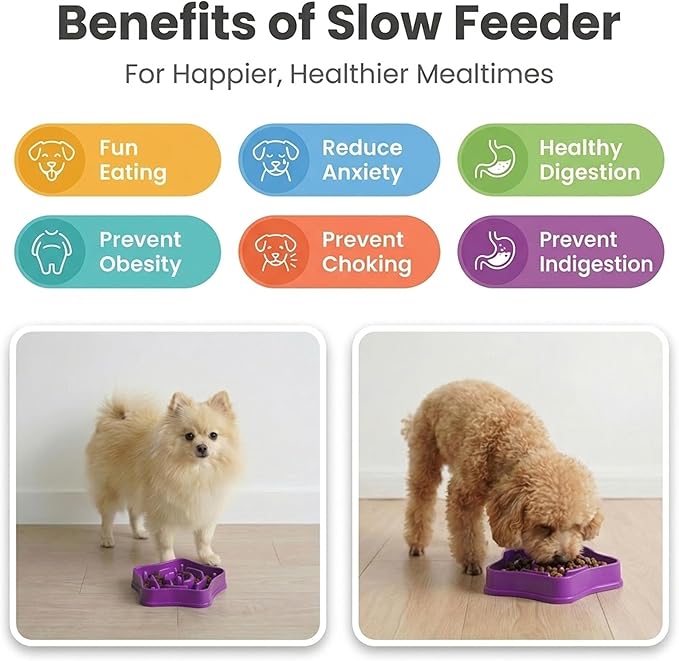 Small Slow Feeder Dog Bowl for Puppies & Small Dogs, 1 Cup (350 ml) Maze Puzzle Food Bowl, Helps Slow Eating & Aid Digestion, Anti-Choking, Non-Slip, BPA-Free, Dishwasher Safe (Purple)