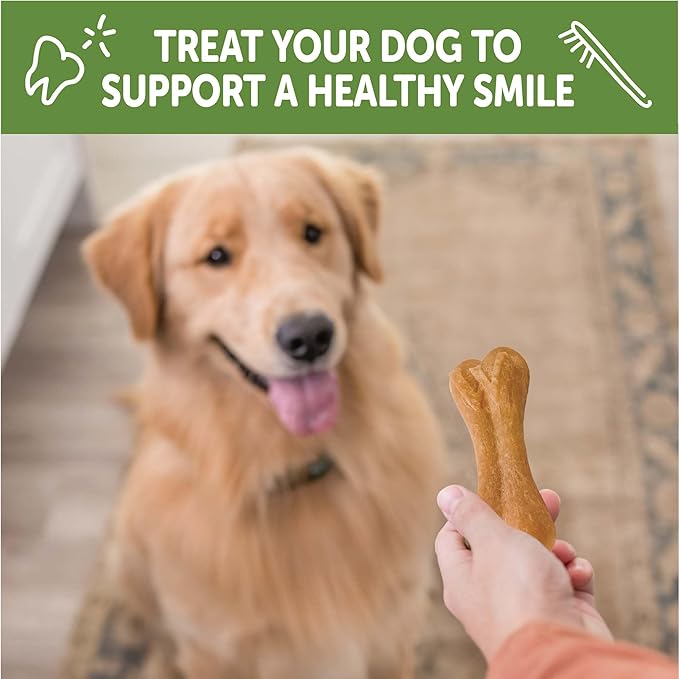 Whimzees Wellness Ricebone Dog Dental Treats, Large Size, (9 Count)
