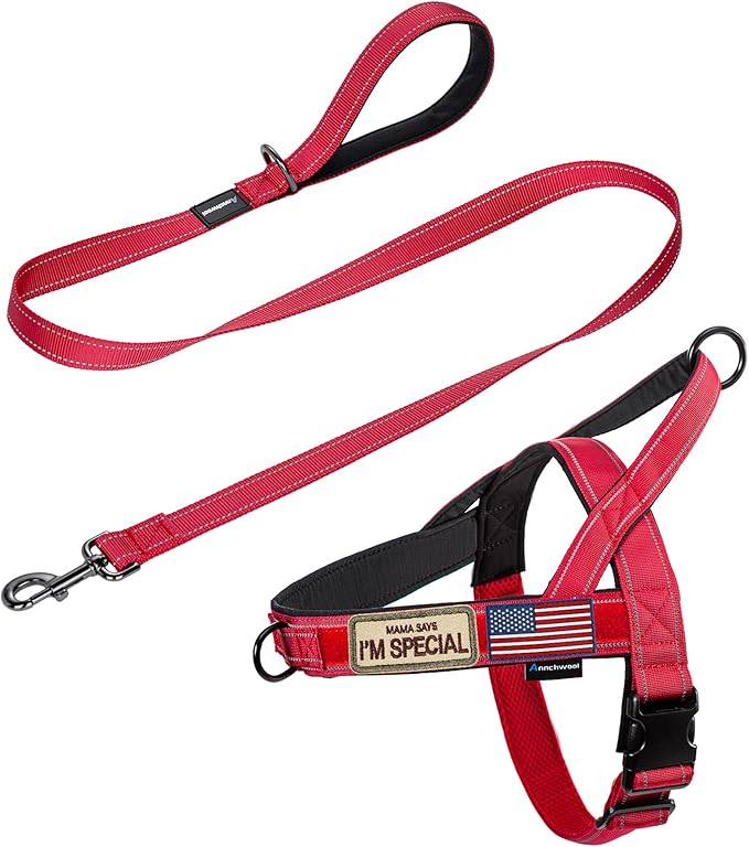 Annchwool No Pull Dog Harness with Padded Handle+5 Ft Leash,Reflective Strip Escape Proof and Quick Fit to Adjust Dog Harness,Easy for Training Walking for Small & Medium and Large Dog(Red-Set,M)