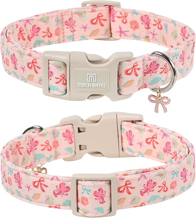 Maca Bates Summer Shell Basic Dog Collar Beach Puppy Collars for Small Dogs Adjustable Durable Soft Comfortable Blue Sharks for Boy Girl Male Female Pet with White Safety Buckle