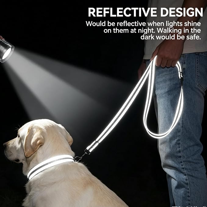 6 FT Reflective Dog Leash, Nylon Heavy Duty Leashes with Soft Padded Handle for Small Medium Large Dogs Walking, 1 Inch Wide Black