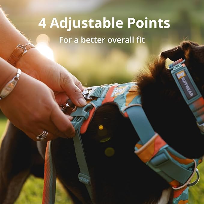 Ruffwear, Front Range Dog Harness, Reflective Soft Padded Everyday Harness with Dual Leash Clips, Adjustable and Lightweight Fit for Training or Walking for All Dogs, Moonlight Mountains, XX-Small