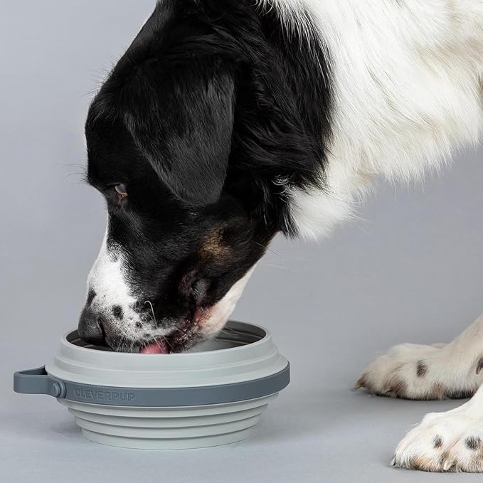 Cleverpup Nomad Large Collapsible Travel Dog Bowl - 4 Cup BPA-Free Silicone for Medium & Large Dogs, Portable, Food & Water, Dishwasher Safe - Grey Silicone