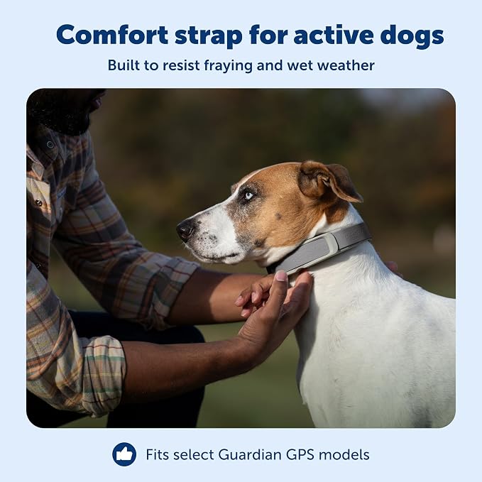 PetSafe Replacement Strap for Guardian GPS + Tracking Dog Fence Collar, Made with Soft-Touch Nylon for Enhanced Comfort and Long-Lasting Wear - Water-Wicking, Waterproof Material, Gray
