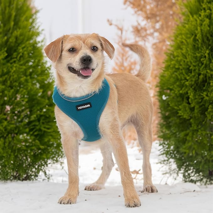 Best Pet Supplies Voyager Aerolite Over the Head Dog Harness, No Pull Breathable Air Mesh Vest, Quick Dry with Reflective Stitching, Adjustable Escape Resistant Harness - Turquoise, X-Small