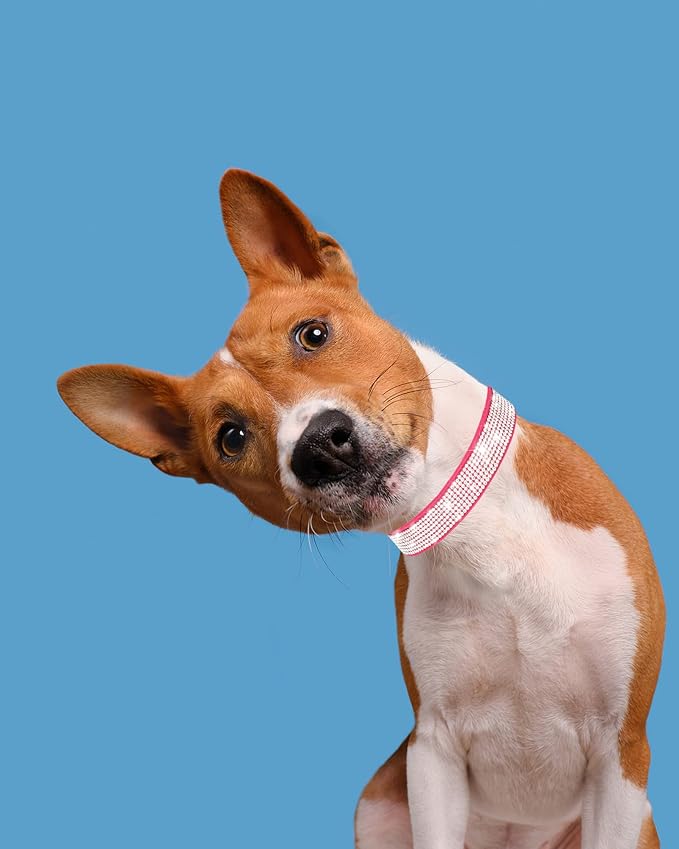 Dog Collar for Large Dogs, Adjustable Leather Suede Bling Dog Collars，Rose Red Dog Collar Cat Collar, Rhinestone Dog Collar