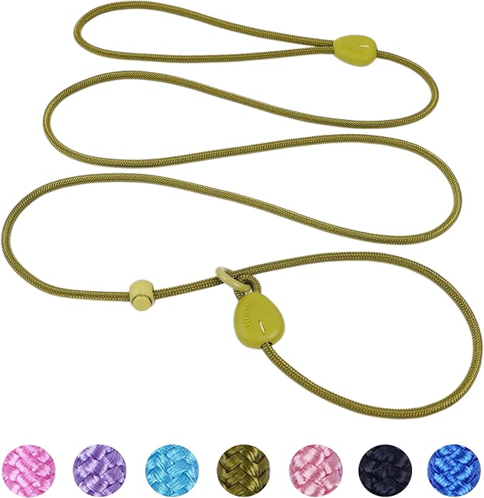 Green 6FT Heavy Duty Dog Training Leash - Comfortable Rope, No Pull, Suitable for Small to Medium Dogs