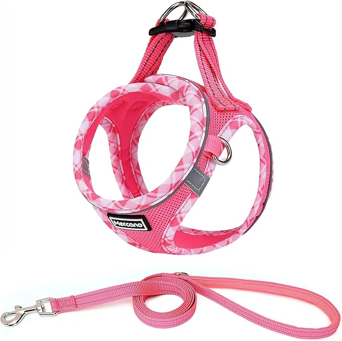 Mercano Soft Mesh Dog Harness and Leash Set, Step-in Reflective Breathable Lightweight Vest Harnesses with Safety Buckle for Small Dogs, Cats (XS, Fuchsia)