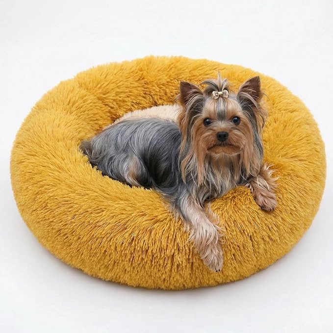 Calming Donut Dogs Beds for Small Dogs Washable,19inch Fluffy Round Puppy Bed for Puppies,Cats & Toy Breeds with Raised Rim,Fits up to 15 lbs Pets,Orange