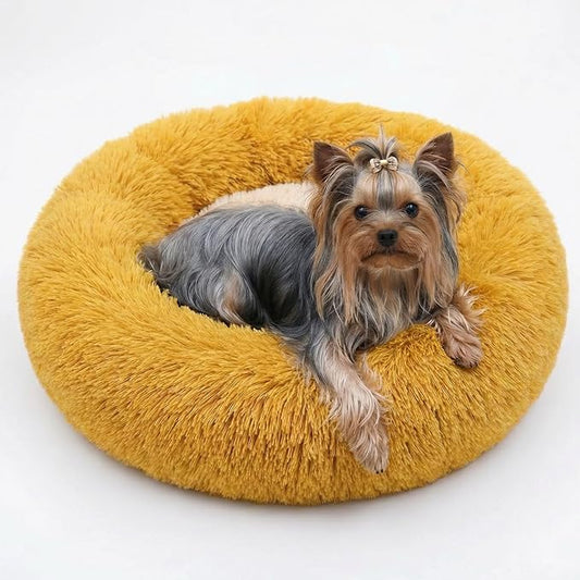 Calming Donut Dogs Beds for Small Dogs Washable,19inch Fluffy Round Puppy Bed for Puppies,Cats & Toy Breeds with Raised Rim,Fits up to 15 lbs Pets,Orange