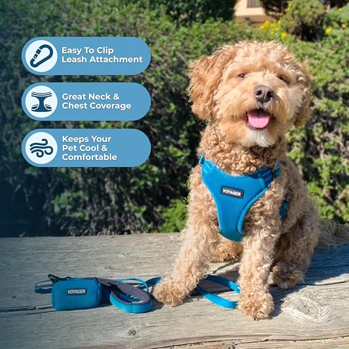 Best Pet Supplies Voyager Adjustable Step-in Flex Breathable Mesh Dog Harness for Small Medium Large Dogs (Turquoise), L