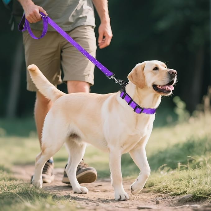 Joytale Reflective Dog Collar,Soft Neoprene Padded Breathable Nylon Pet Collar Adjustable for Large Dogs,Purple,L