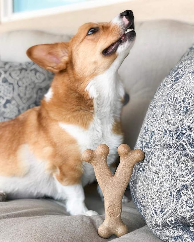 SPOT Bam-Bones Wishbone Dog Chew Toy, Bamboo Fiber Blend, Non-Splintering Durable Chew for Light to Moderate Chewers, Adult Dogs & Teething Puppies 25–50 lbs, Chicken Flavor, 7 in