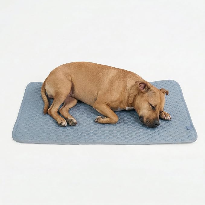 Spark Paws Cooling Mat for Dogs - Self Cooling Dog Mat & Pet Cooling Pad for Large, Medium & Small Dogs - Non-Toxic, Non-Gel Washable Cooling Bed - Ash Blue - Size L