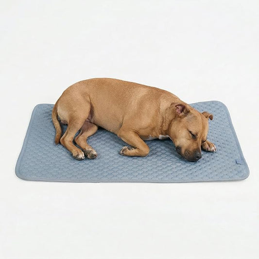 Spark Paws Cooling Mat for Dogs - Self Cooling Dog Mat & Pet Cooling Pad for Large, Medium & Small Dogs - Non-Toxic, Non-Gel Washable Cooling Bed - Ash Blue - Size L
