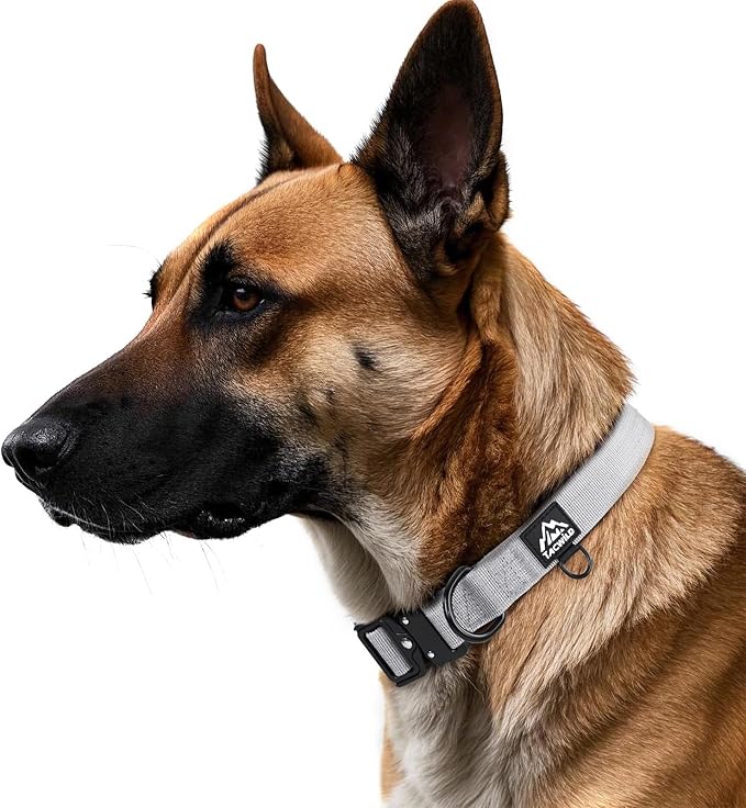 Dog Collar for Large Dogs - Adjustable, Chew Proof Nylon Collar with Metal Quick Release Buckle and D-Ring for Dog Tags (Alaska Daybreak, L(1''Width, Fit 14''-20''))