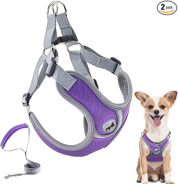 Dog Harness with Leash Set, Puppy Harnesses with Breathable Padded for Small Dogs Walking Escape Proof (XS, Purple)