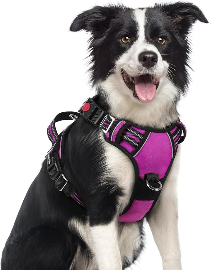 rabbitgoo Dog Harness Medium Sized, 3 Buckles Easy On & Off No Pull Pet Vest, Soft Padded Walking Pet Harness with Control Handle, Adjustable and Reflective, Purple, M