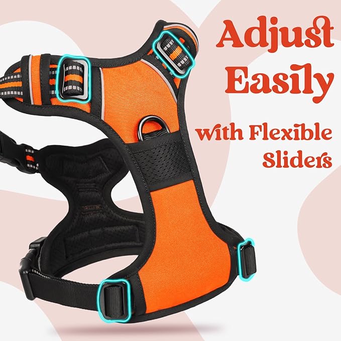 rabbitgoo Dog Harness Small Sized, No Pull Easy On & Off with 3 Buckles Pet Harness, Adjustable Soft Walking Vest with 2 Clips and Handle, Reflective for Small Dogs, Orange, S