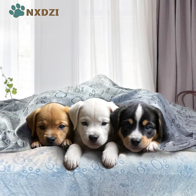 Dog Blankets for Medium Large Dogs, 3 Pack Dog Blanket Washable 30" x 20", Gifts Puppy Essentials, Fuzzy Soft Pet Mat Throw Cover for Kennel Crate Bed, Cat Blanket, Blankets for Dogs, Pet Blanket